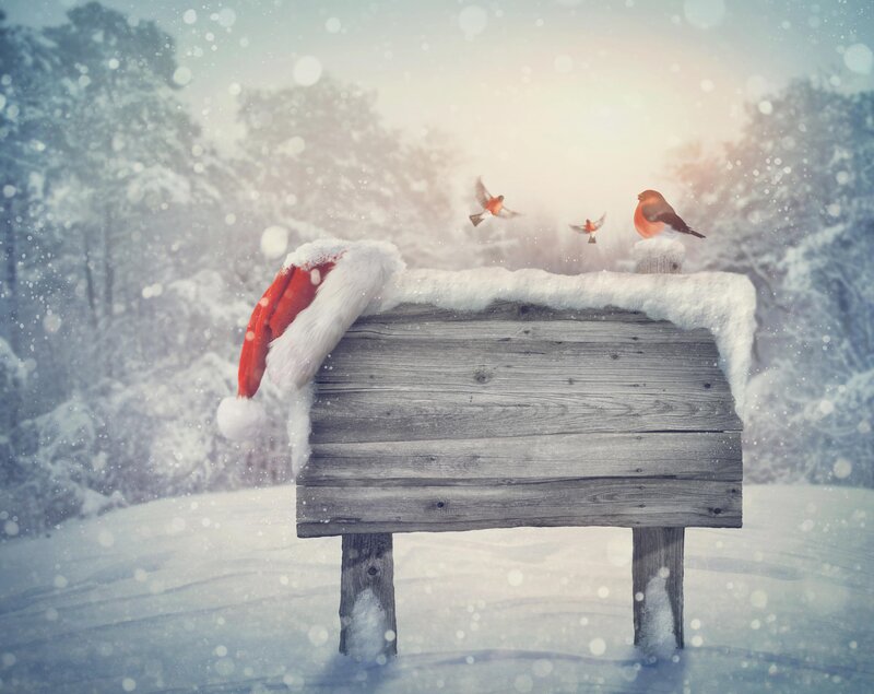 Wooden Sign in Snow — White, Serene