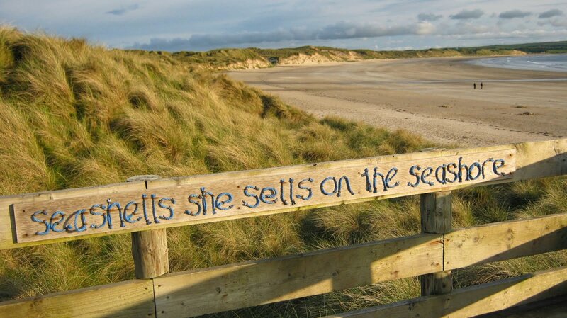 Wooden Sign on Beach — Brown