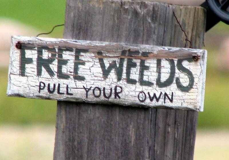Wooden Sign on Post — Brown