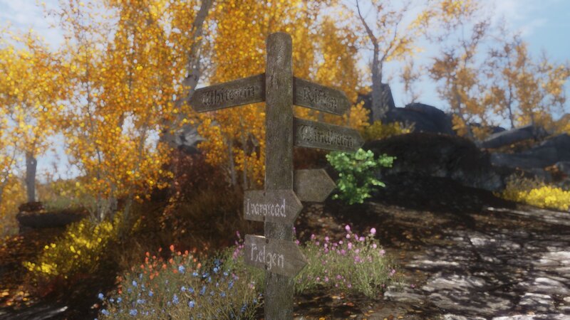 Wooden signpost in autumn forest