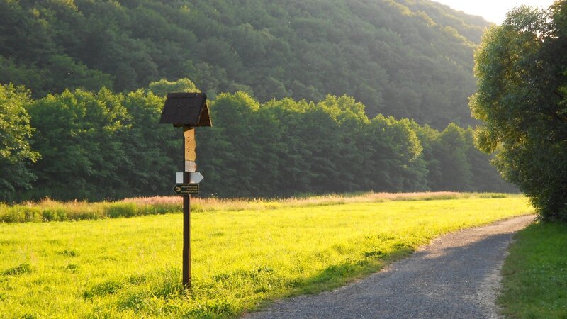 Wooden Signpost in Field — Green