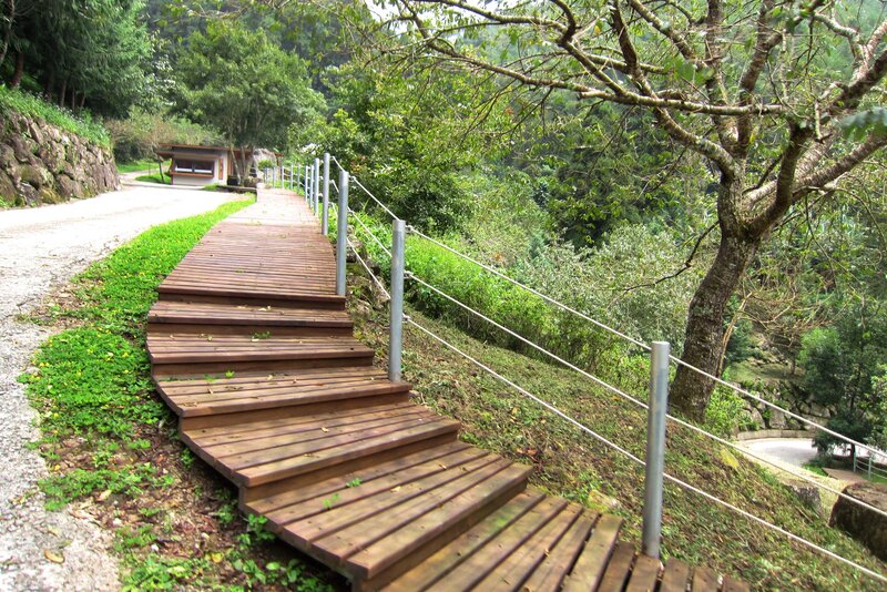 Wooden Staircase in Forest — Green