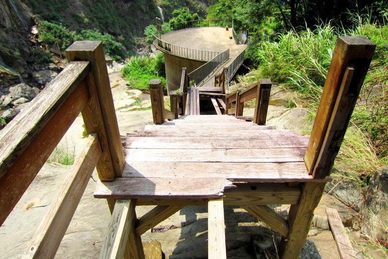 Wooden Staircase in Forest