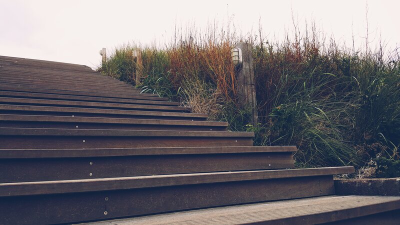 Wooden Stairs and Grass
