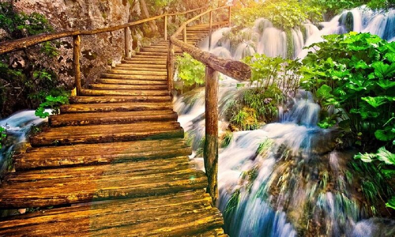 Wooden Stairs by Waterfall — Green, Serene