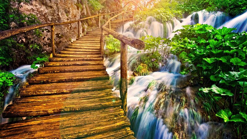 Wooden Stairs by Waterfall — Green