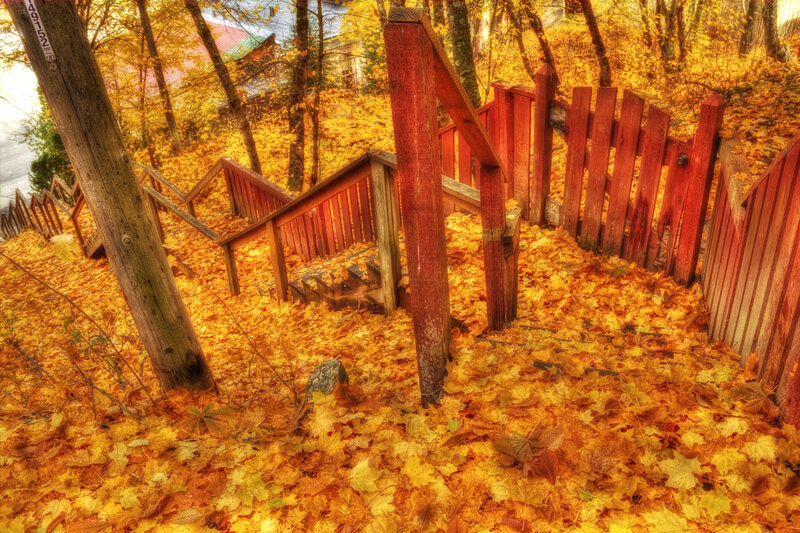 Wooden Stairs in Autumn