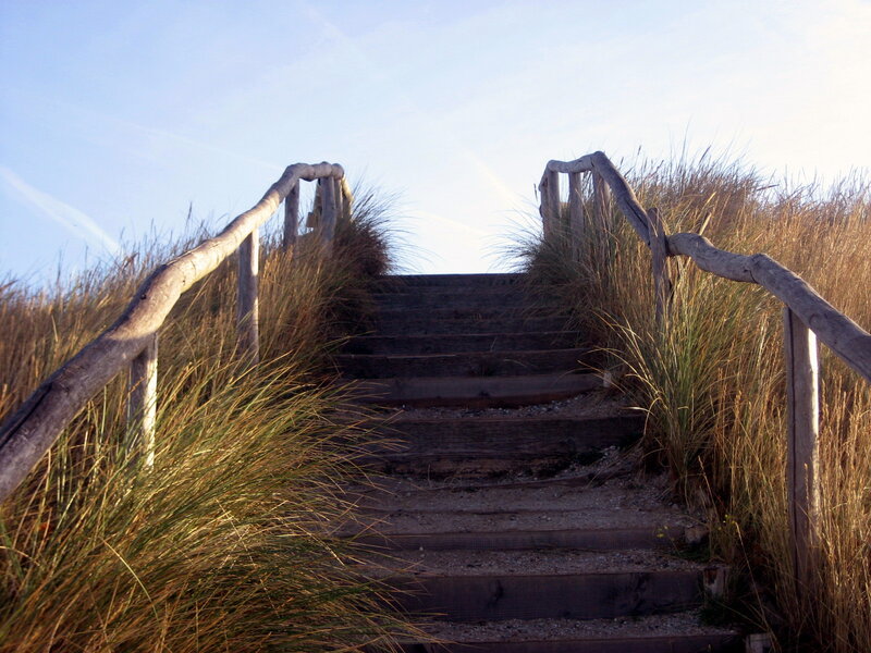 Wooden Stairs in Dune