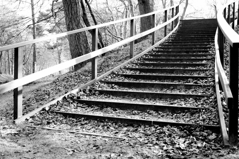 Wooden Stairs in Forest — Black