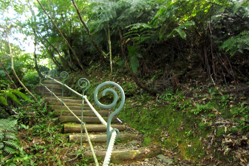 Wooden Stairs in Forest — Green, Natural
