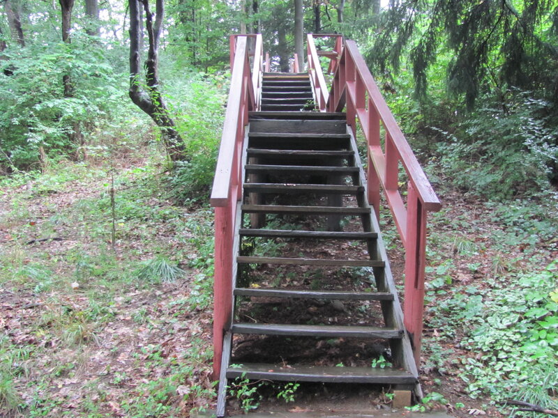 Wooden Stairs in Forest — Green, Serene, Afternoon, Photograph, Railing