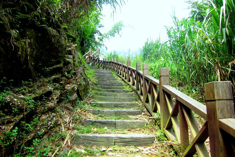 Wooden Stairs in Forest — Green, Serene, Morning