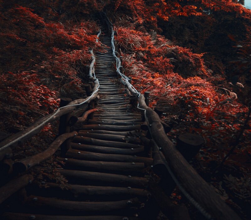 Wooden Stairs in Forest — Red, Dramatic, Autumn
