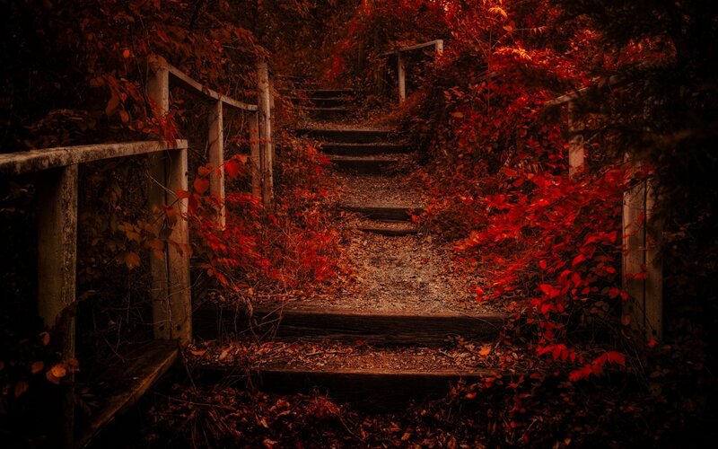 Wooden Stairs in Forest — Red, Dramatic