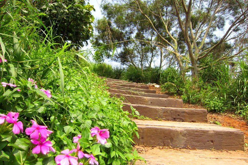 Wooden Stairs in Garden — Green