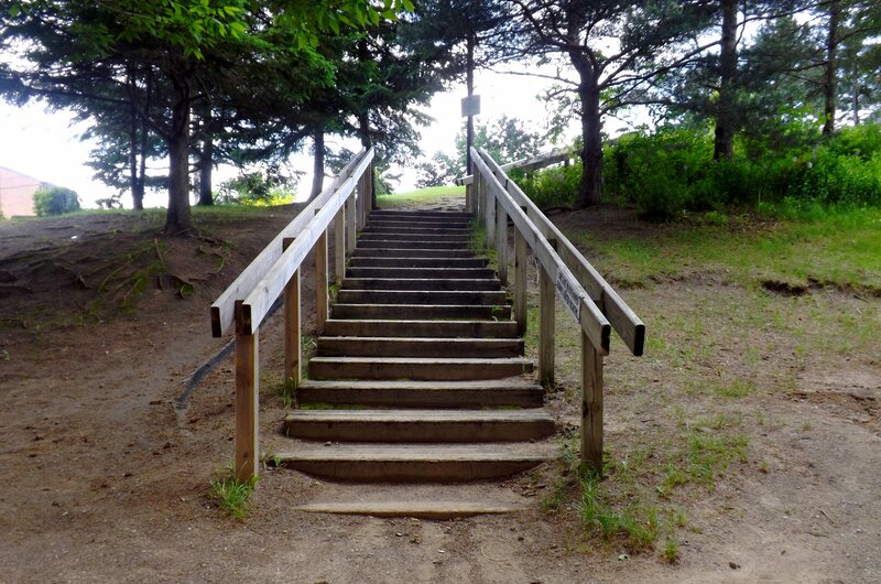 Wooden Stairs in Park