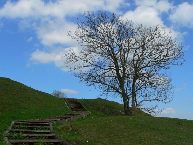 Wooden stairs on a grassy hill