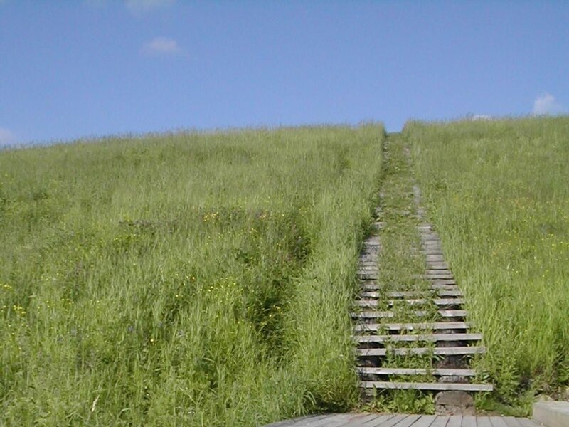 Wooden stairs on a grassy hill