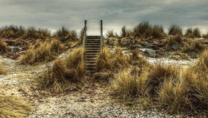 Wooden Stairs on Dune — Brown