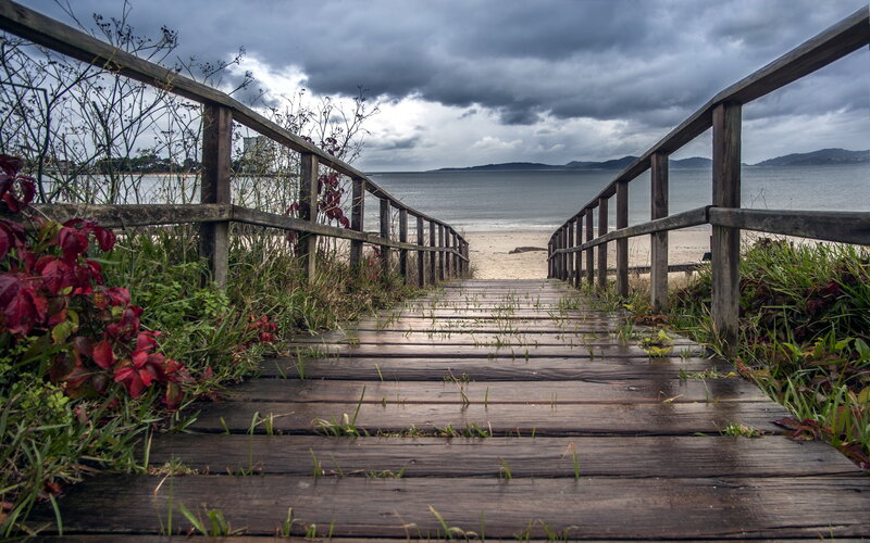 Wooden Stairs to Beach — Brown, Dramatic