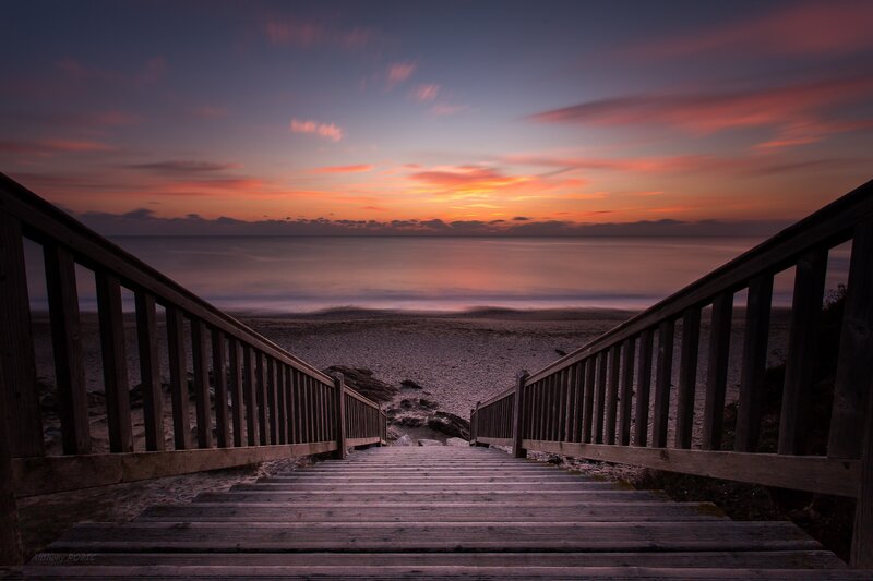 Wooden Stairs to Beach — Purple