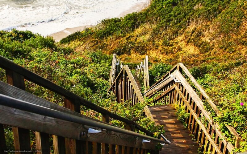 Wooden stairs to the beach