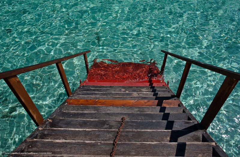 Wooden stairs to the sea