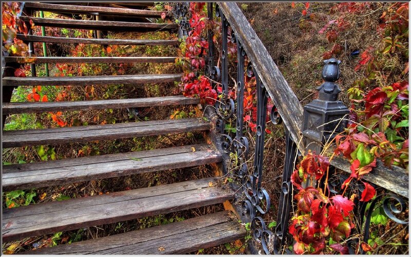 wooden stairs with autumn leaves