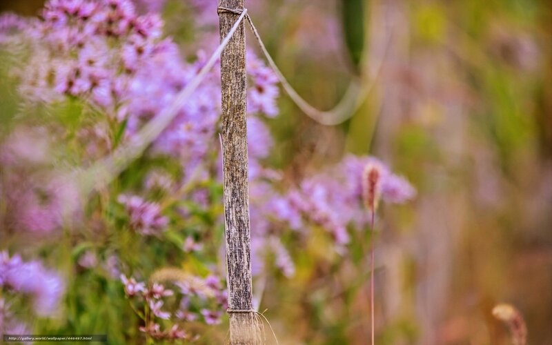 Wooden Stake with Flowers — Purple