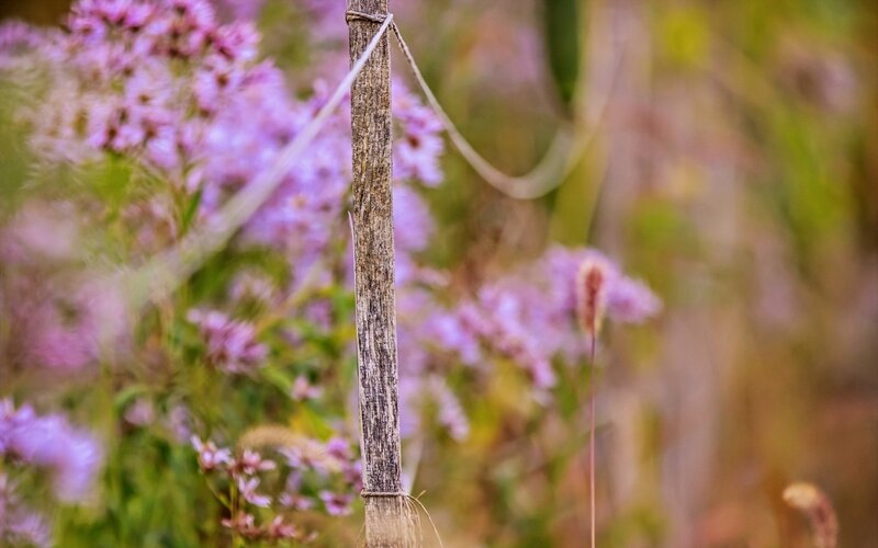 Wooden Stake with Flowers