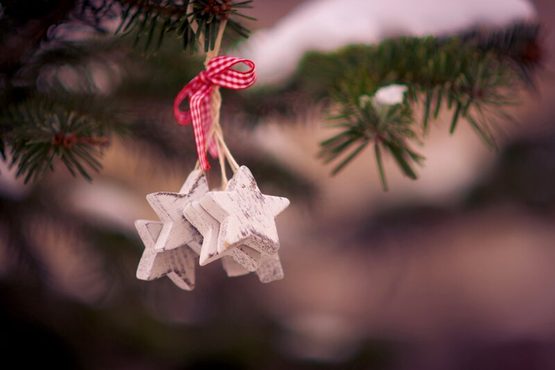 Wooden Stars on Pine Branch