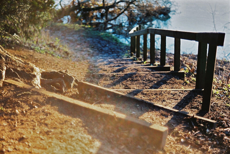 Wooden Steps and Railing