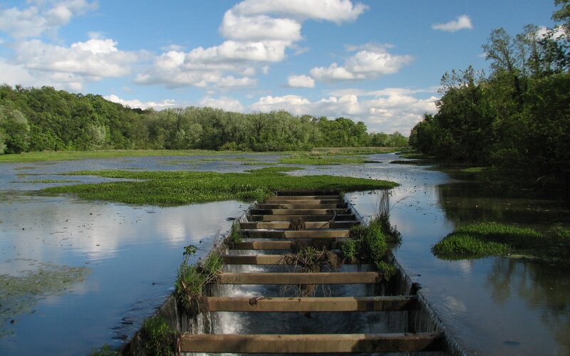 Wooden Steps in River