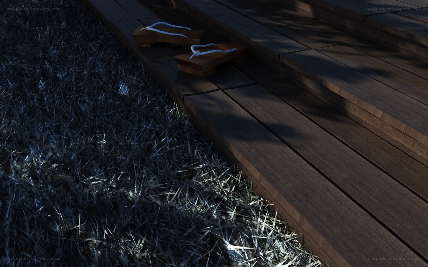 Wooden steps with sandals