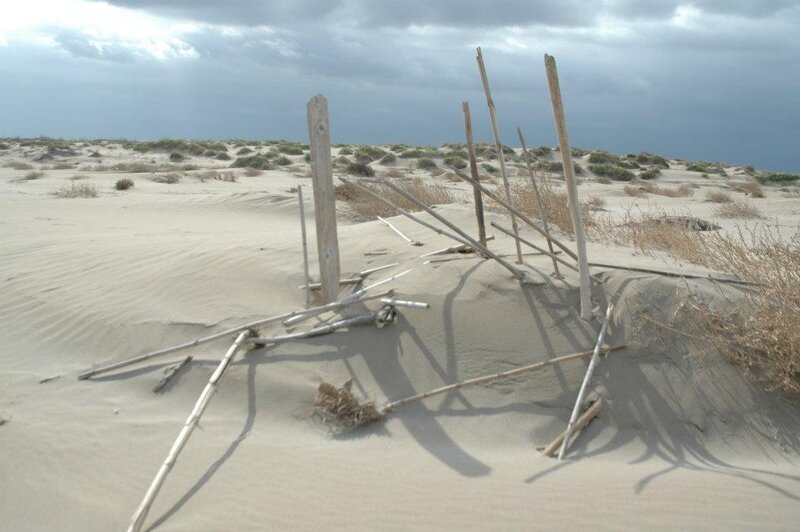 Wooden Sticks in Sand