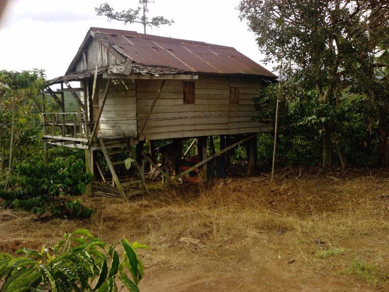Wooden Stilt House — Brown, Rural
