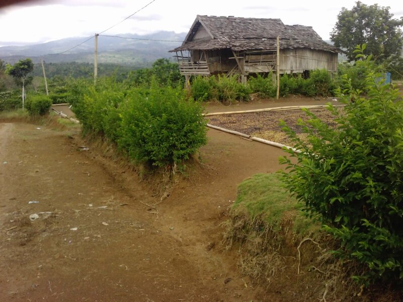 Wooden Stilt House — Green