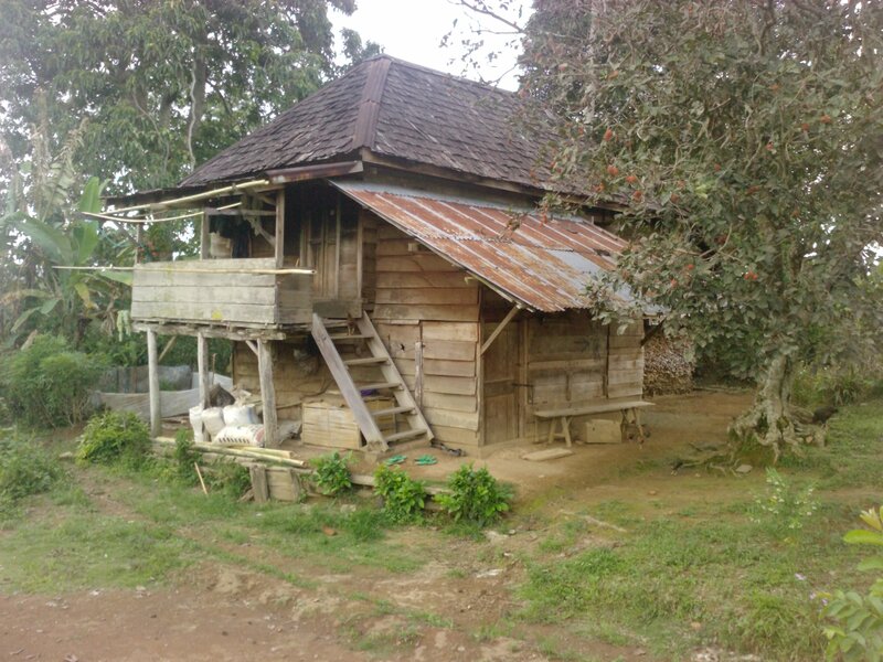 Wooden Stilt House