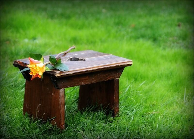 Wooden Stool with Rose