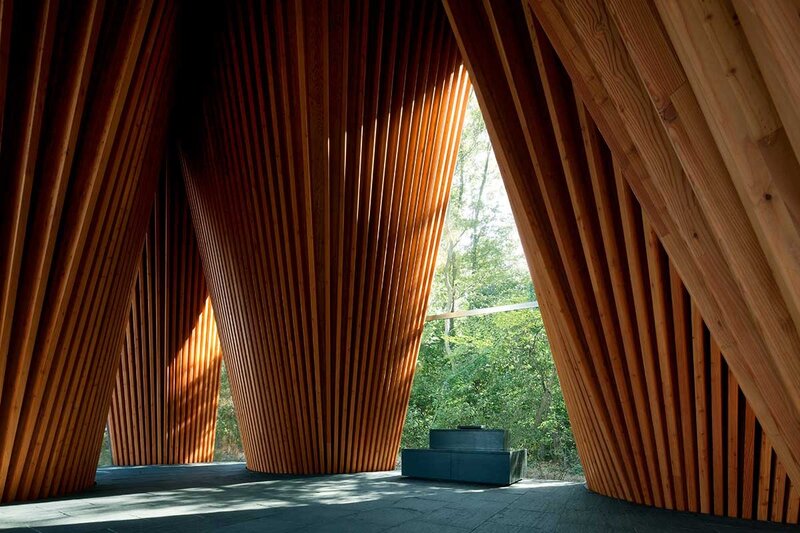 Wooden Structure Interior
