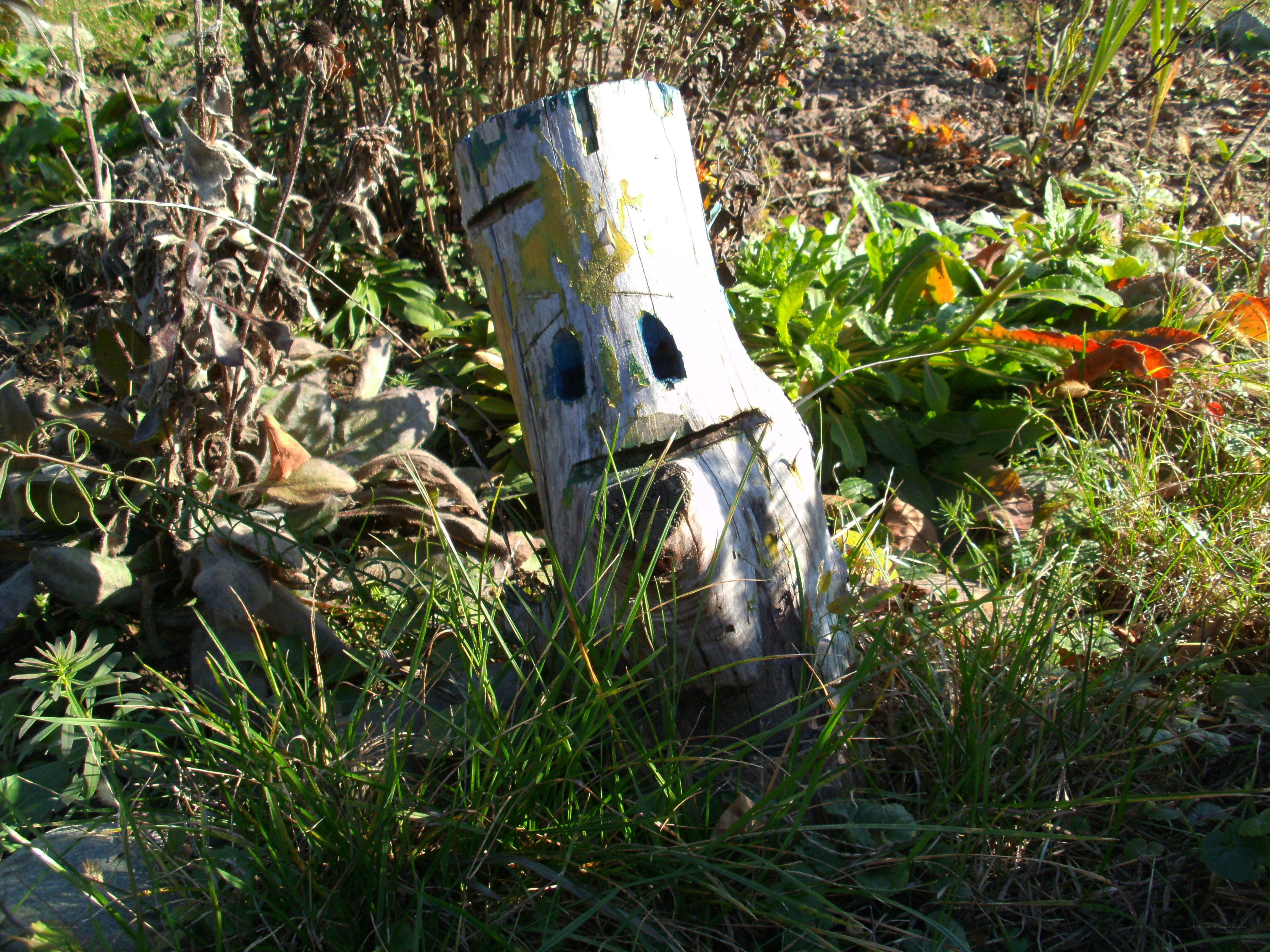 wooden stump with painted face