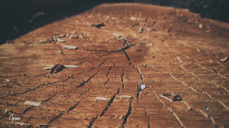 Wooden Surface with Cracks