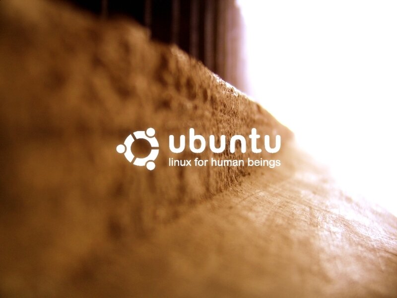 Wooden Surface with Logo — Brown