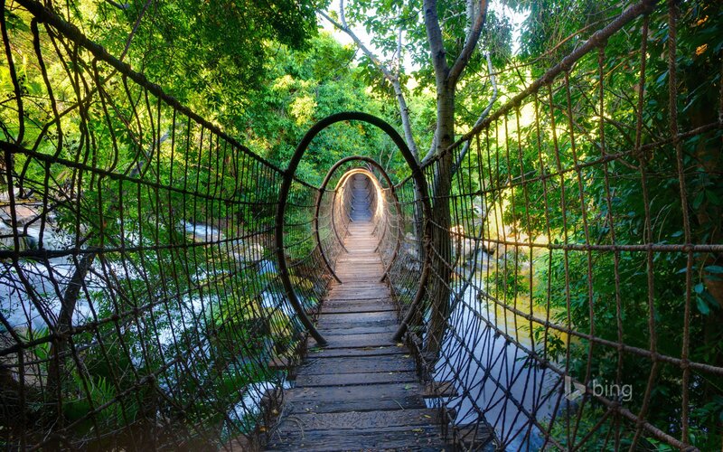 Wooden Suspension Bridge — Green, Serene, Afternoon, Photograph, River, Trees