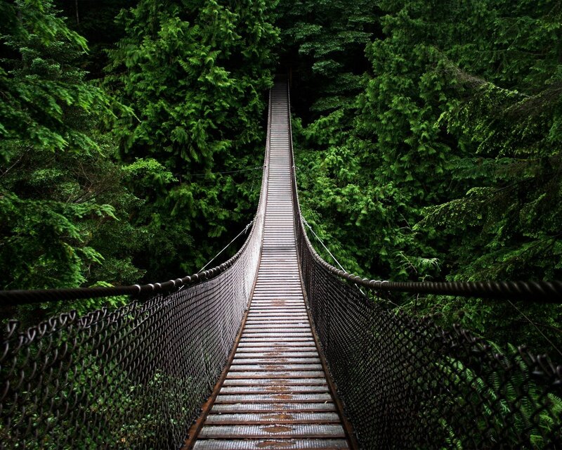 Wooden Suspension Bridge — Green, Serene, Photograph, Forest