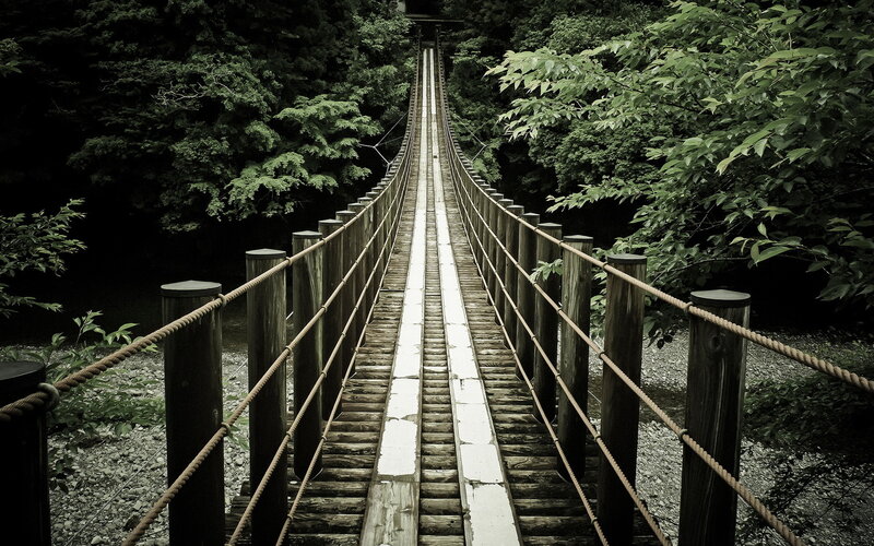 Wooden Suspension Bridge — Green, Serene, Photograph