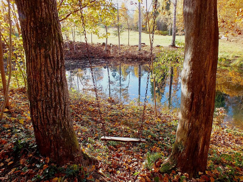 Wooden Swing Between Trees