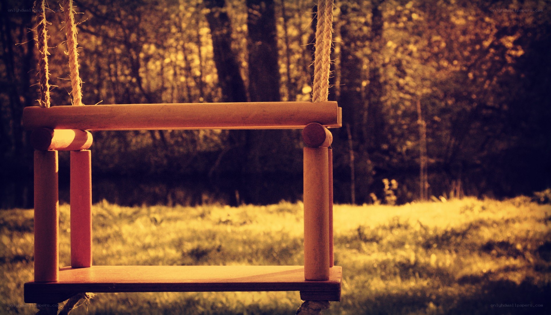 Wooden swing in a forest
