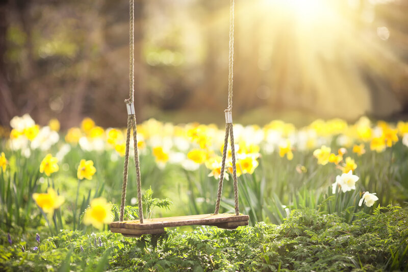 Wooden Swing in Field