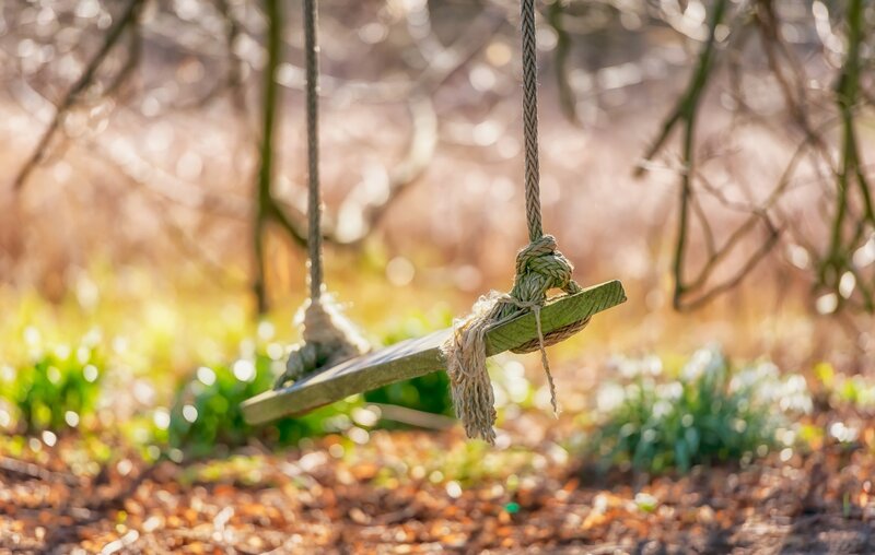 Wooden Swing in Forest — Green, Serene, Afternoon, Photograph